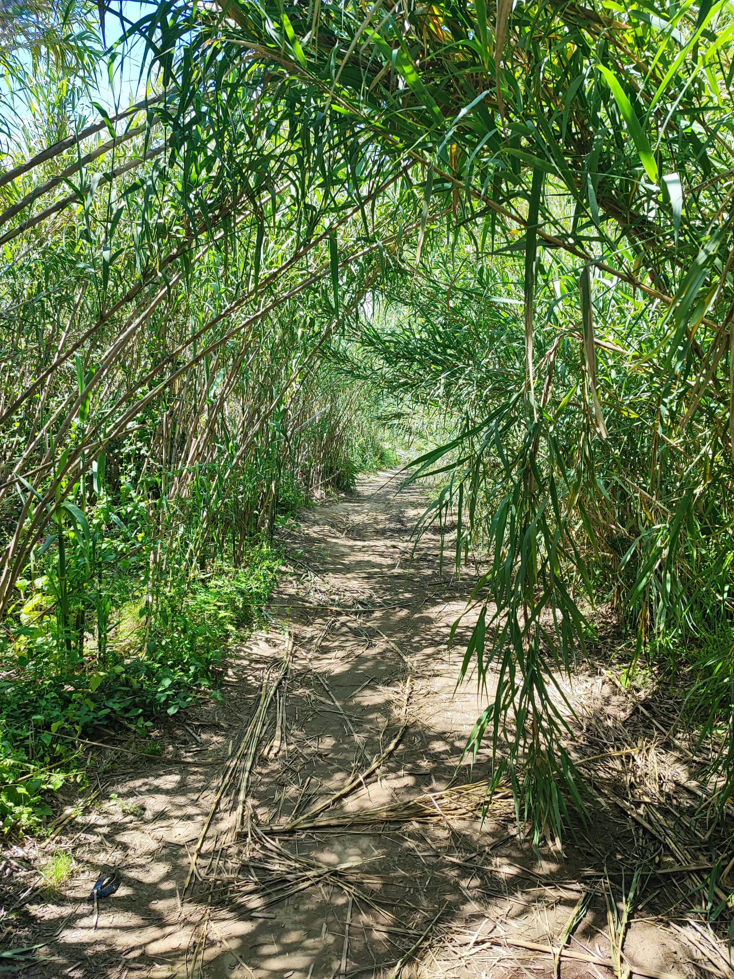 Camino al lado del río en los alrededores de Campo y Mar, ideal para iniciar el dia con calma