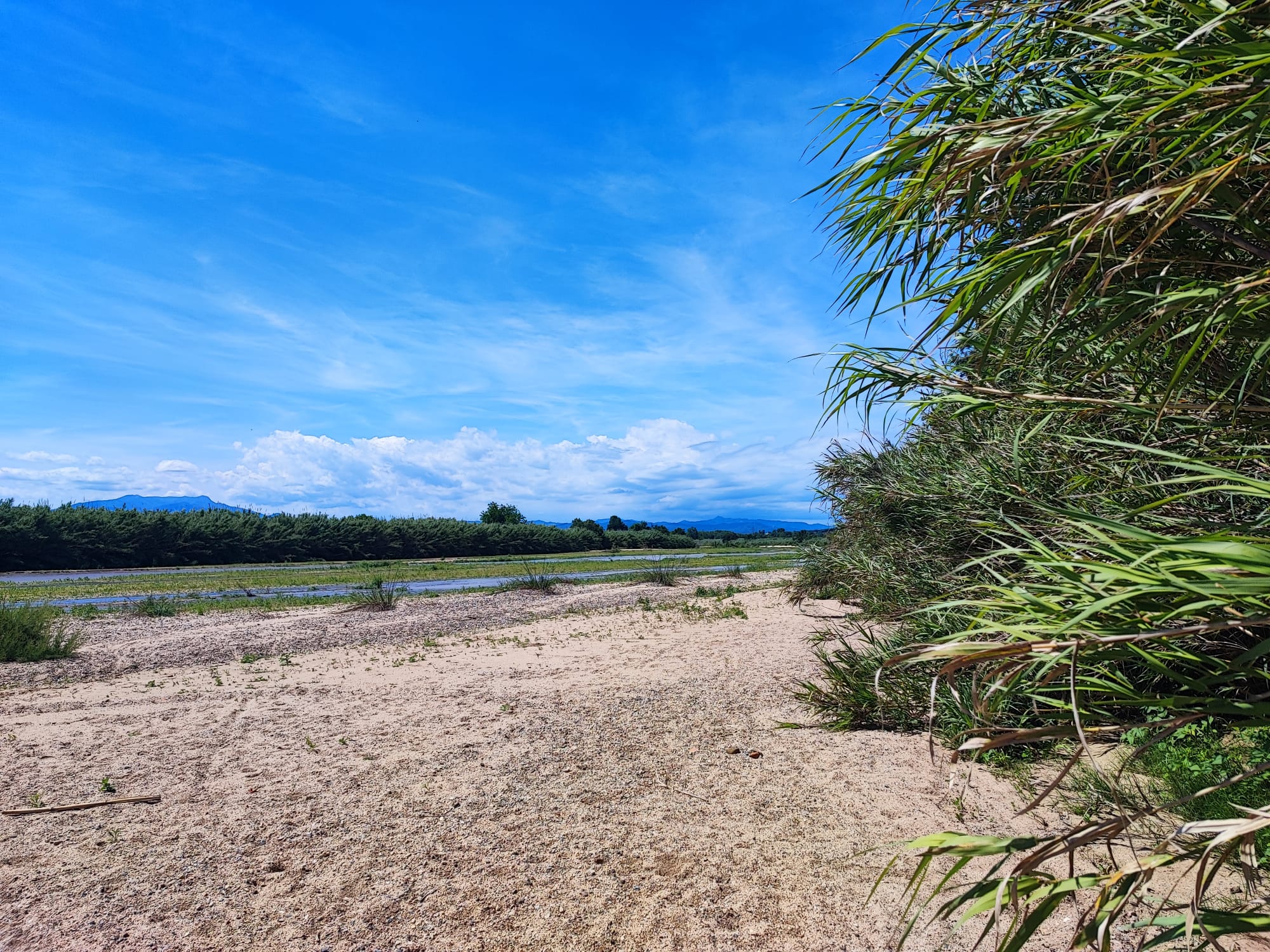 Río y entorno natural, ideal para descansar y disfrutar de la tranquilidad